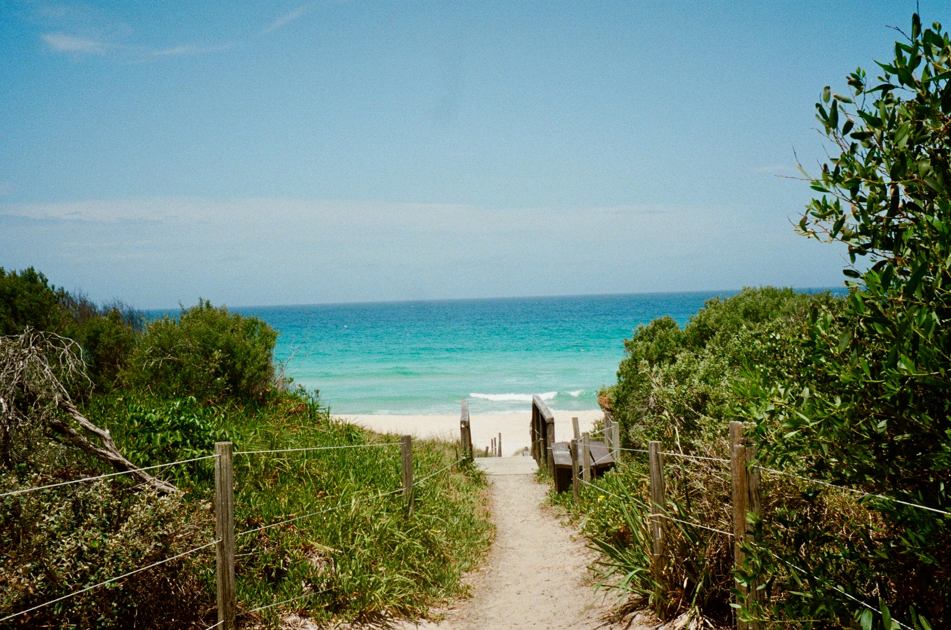 WILDLIFE & BEACH – 09 DAYS