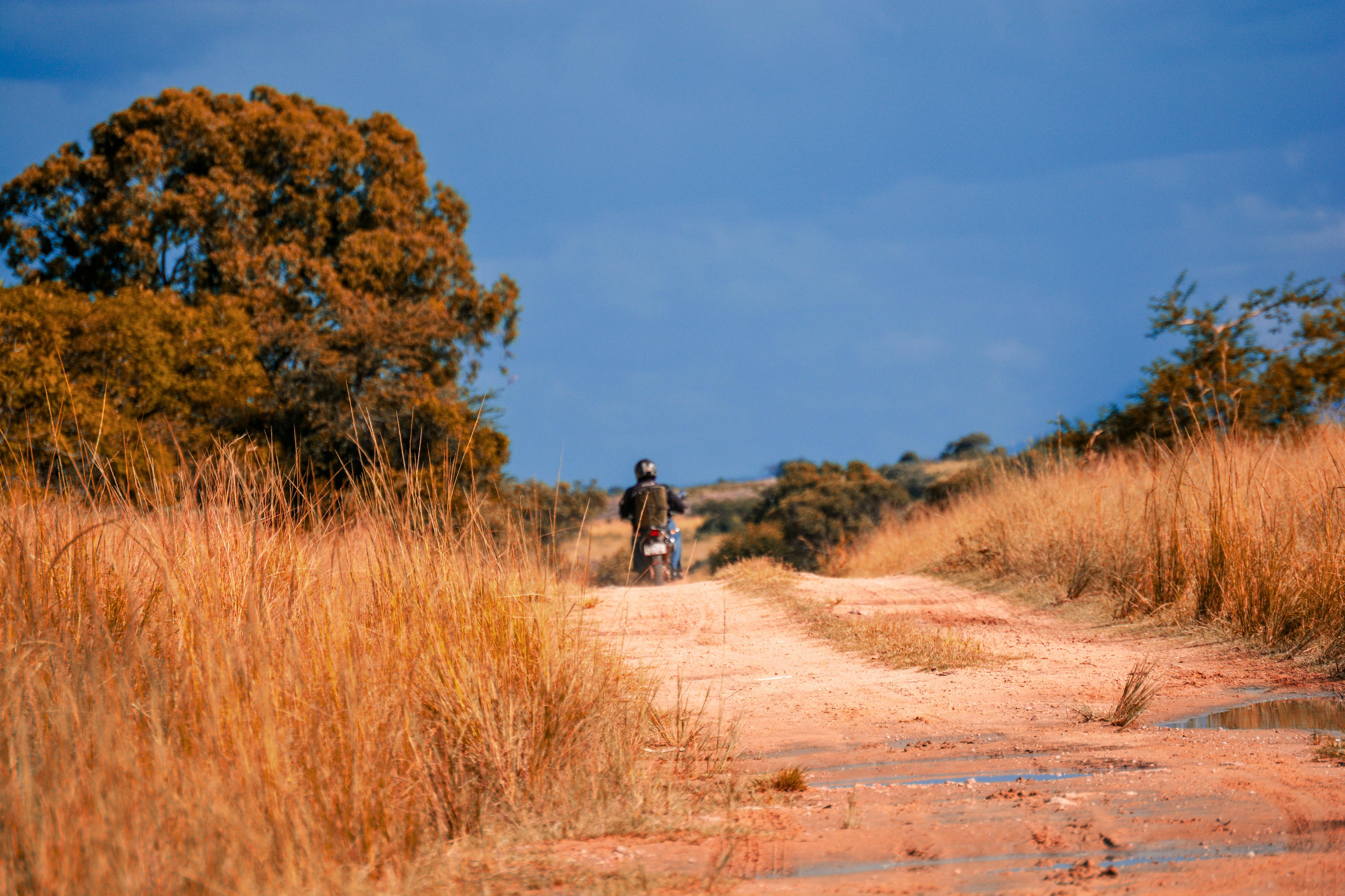 Tarangire National Park