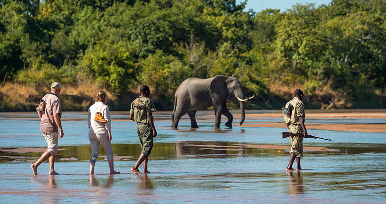 ZAMBIA WALKING SAFARI – 05 DAYS