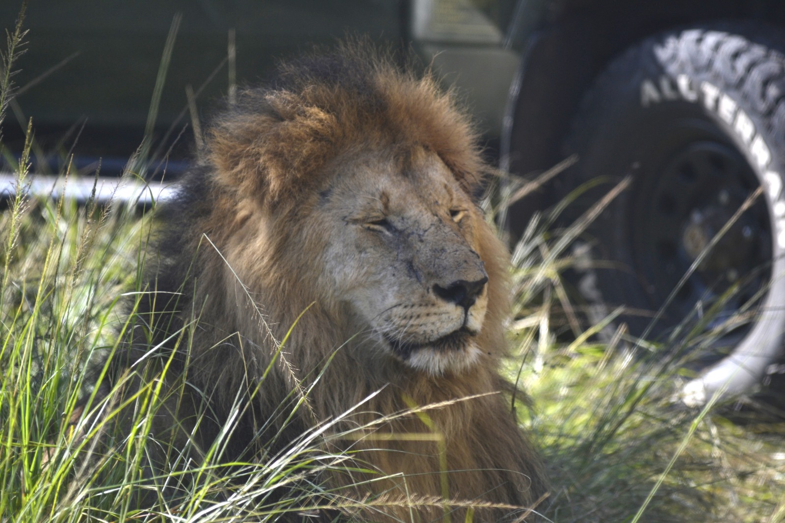 Luxury lodge exterior