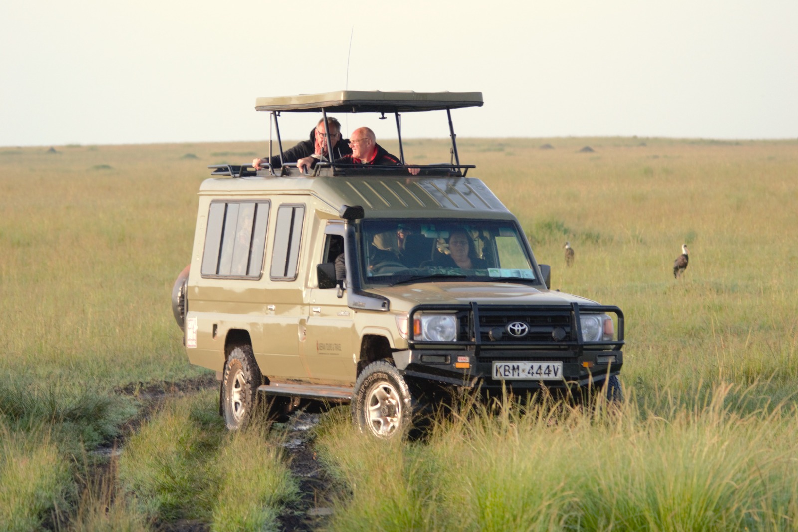 CLASSIC KENYA SAFARI – 08 DAYS